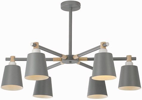 Люстра ЭкономСвет 13162/6GR+WD GR E27, 6x40W, до 14 м² купить в СОМ