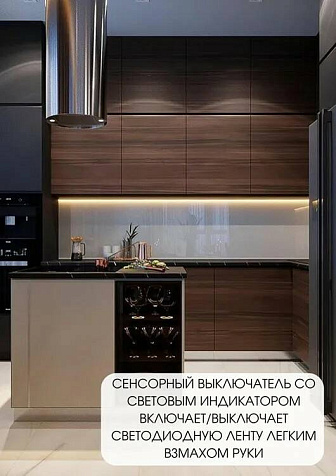 Бесконтактный сенсорный выключатель Geniled GL-12V60WIRS купить в СОМ