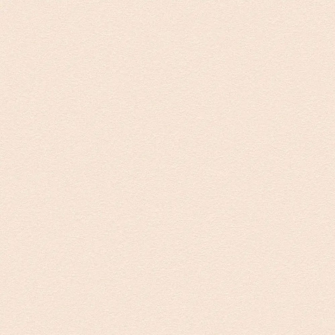 Обои виниловые на флизелиновой основе 19421-93-10 WallSecret Basic PaintWall, 1.06 х 10.05 м . купить в СОМ