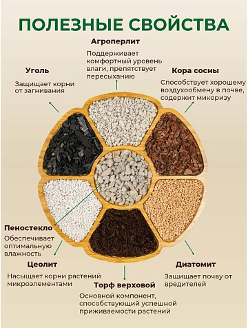 Грунт Terramis для Замиокулькаса 2л органо-минеральный купить в СОМ