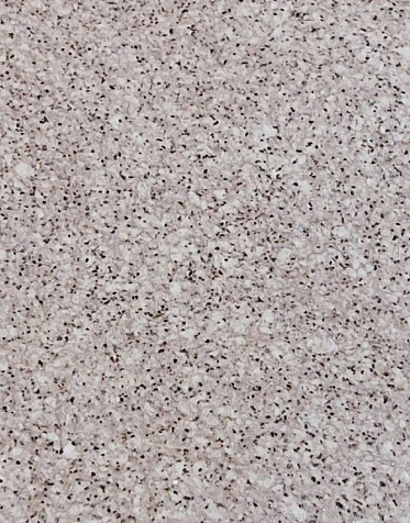 Декоративное покрытие SILK PLASTER Alegra 173 купить в СОМ
