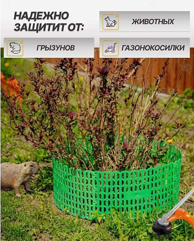Защита стволов деревьев 20,5х30см 10шт зеленая купить в СОМ