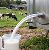 Шланг ПВХ Урожайная сотка, d=12мм, 1 м купить в СОМ