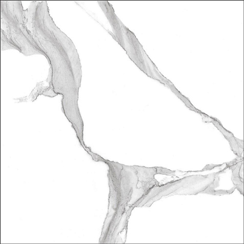 Керамогранит Global Tile Anima  полированный, 600х600х8,5 мм, 3 шт. - 1.08 кв. м GT60601503PR купить в СОМ
