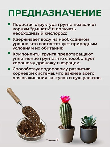 Грунт Terramis для Кактусов и Суккулентов 2л органо-минеральный купить в СОМ