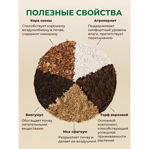 Грунт Terramis для Алоказии 2л органический купить в СОМ