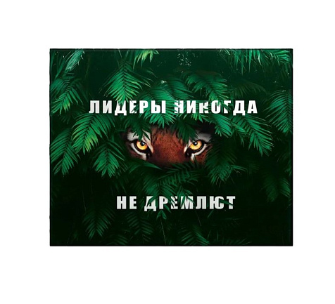 Картина на холсте "Лидер не спит", 40х50 см купить в СОМ