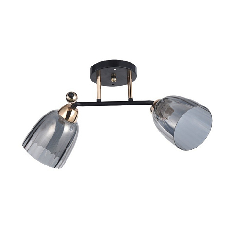 Люстра классическая 12229/2BK+FGD GR купить в СОМ