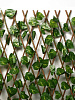 Ограждение Лист берёзы 200х75см Greengo купить в СОМ
