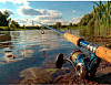 Ковер прямоугольник  в ассортименте, 2х3м купить в СОМ